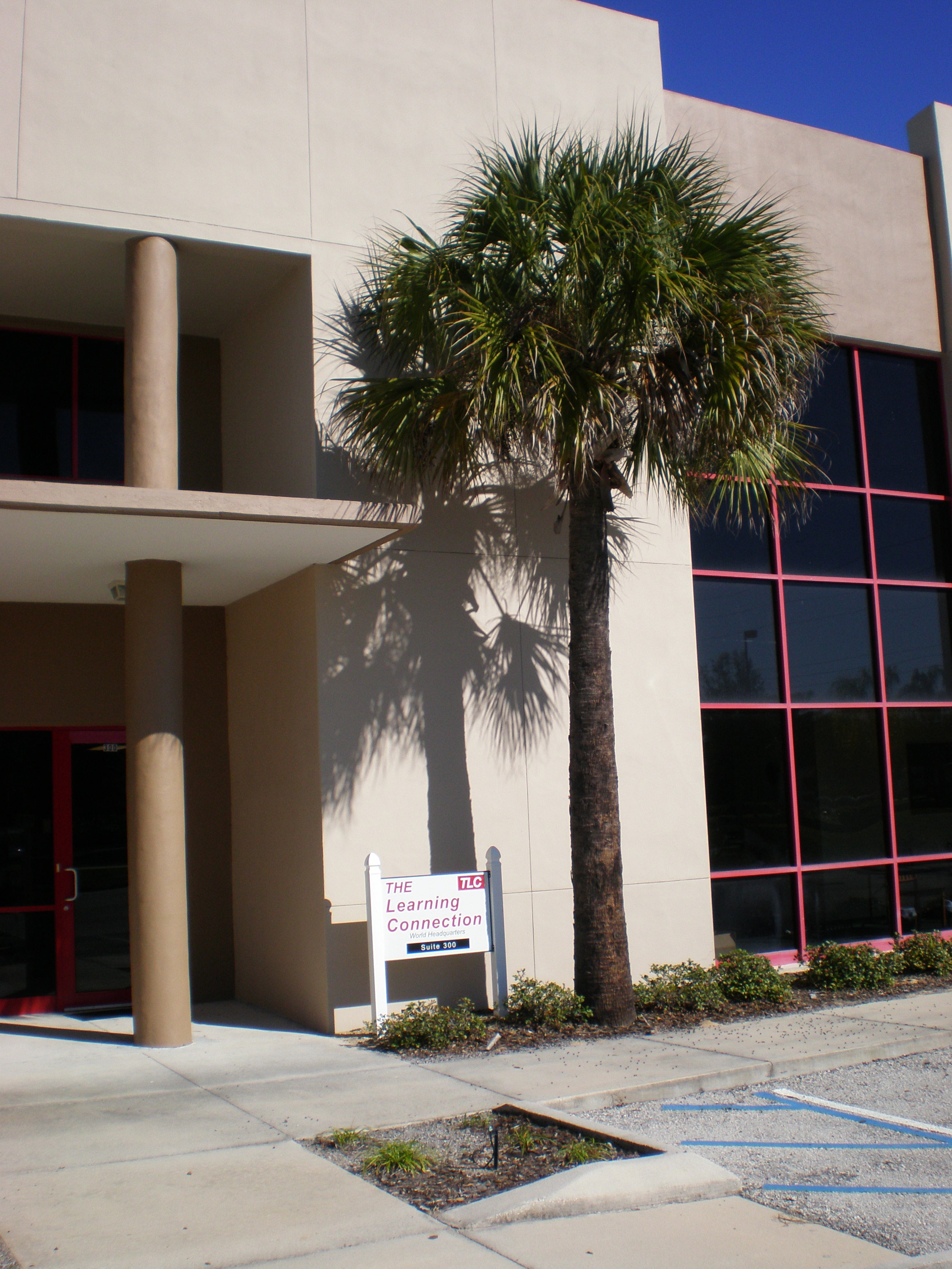 tlc storefront
